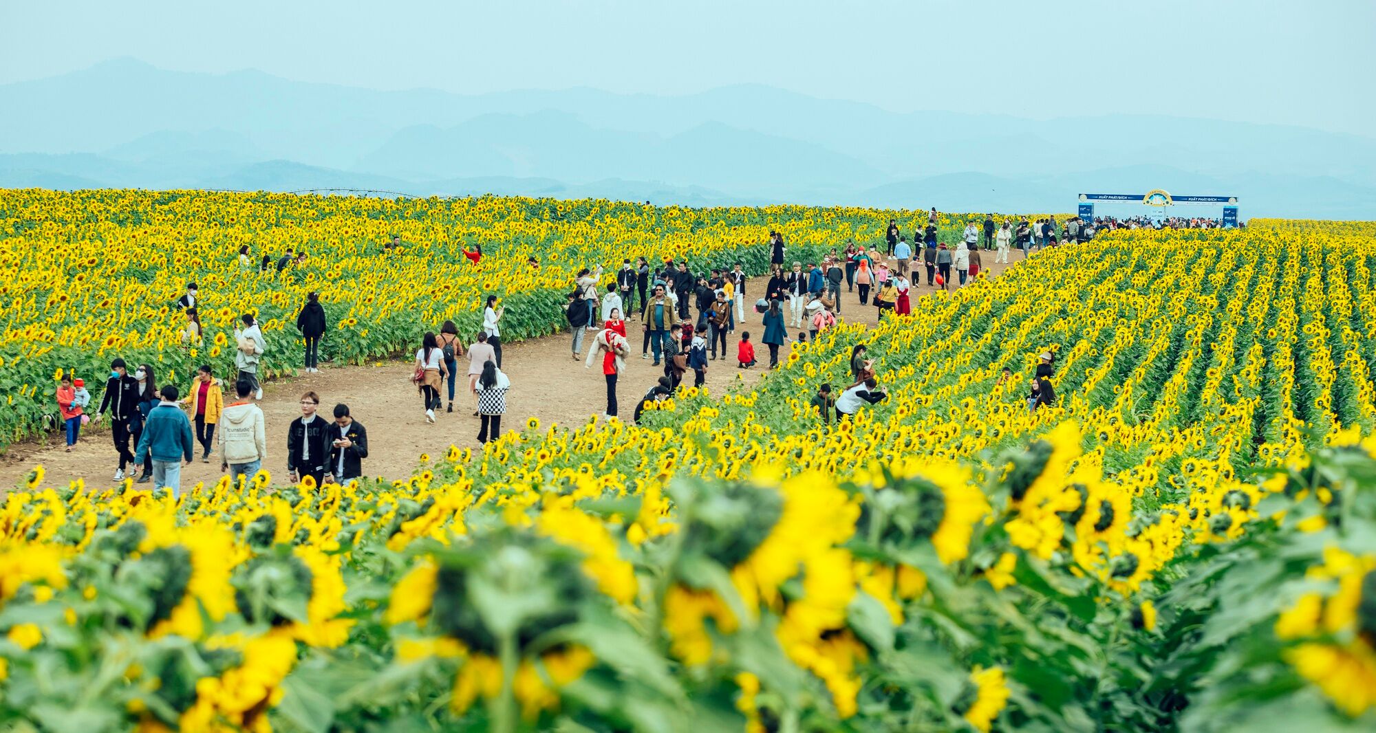 Capture the eco-friendly charm of Nghe An’s ecotourism